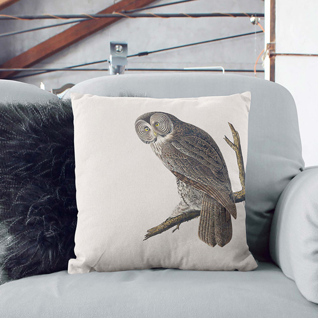Great Cinereous Owl by John James Audubon Cushion with Filling