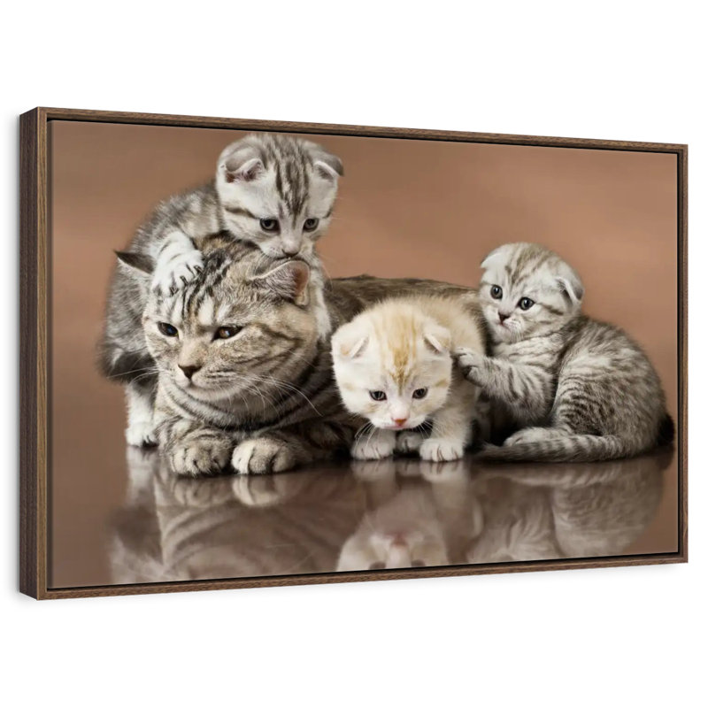 Cat Family, Floating Frame Black, 37" X 25"