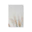 Impression sur toile Pampas Whisper-1587452707-1587452709