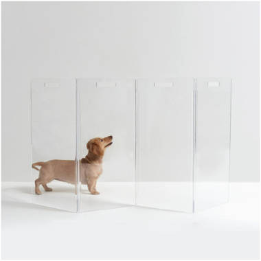 Theron Clear Acrylic Tray + Reviews