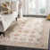 Enlow Sevilla Viscose Oriental Rug in White/Brown