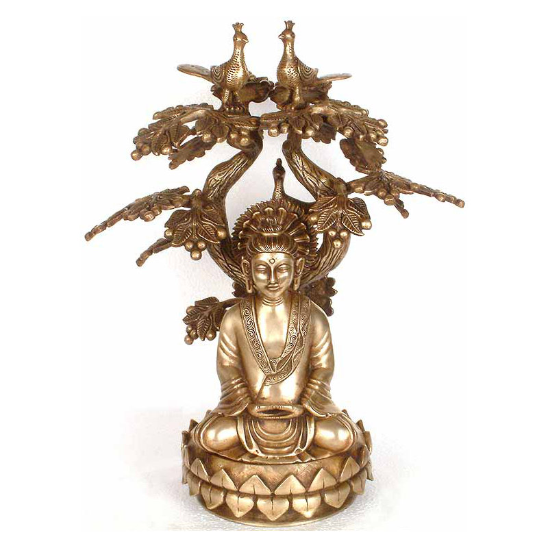 Bouddha Dhyana
