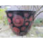 Corsair Pot Planter-119117393-119117397