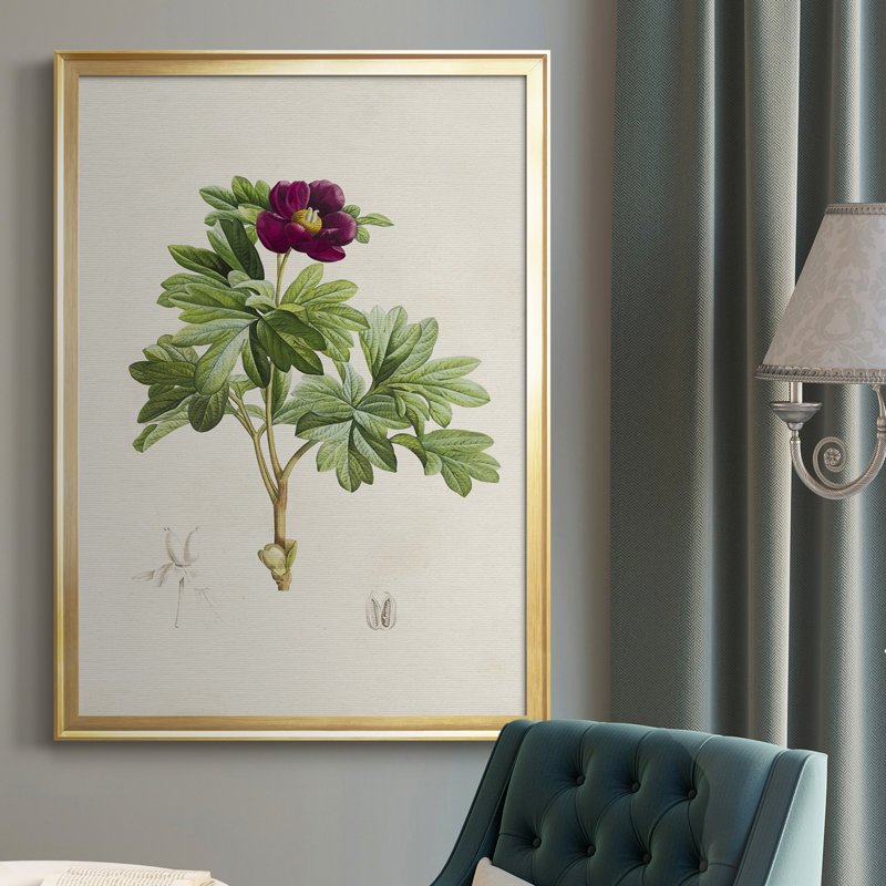Toile encadrée de qualité «Pretty Pink Botanicals III» - prête à être accrochée, H 36,5 po x l 26,5 po x P 1 po, Or