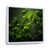 White Floater Framed