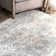Andrus Oriental Silver Area Rug