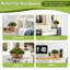 11 plantes