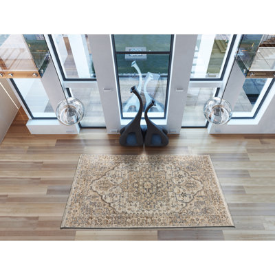 Orkin Rectangle Moroccan Berber Area Rug