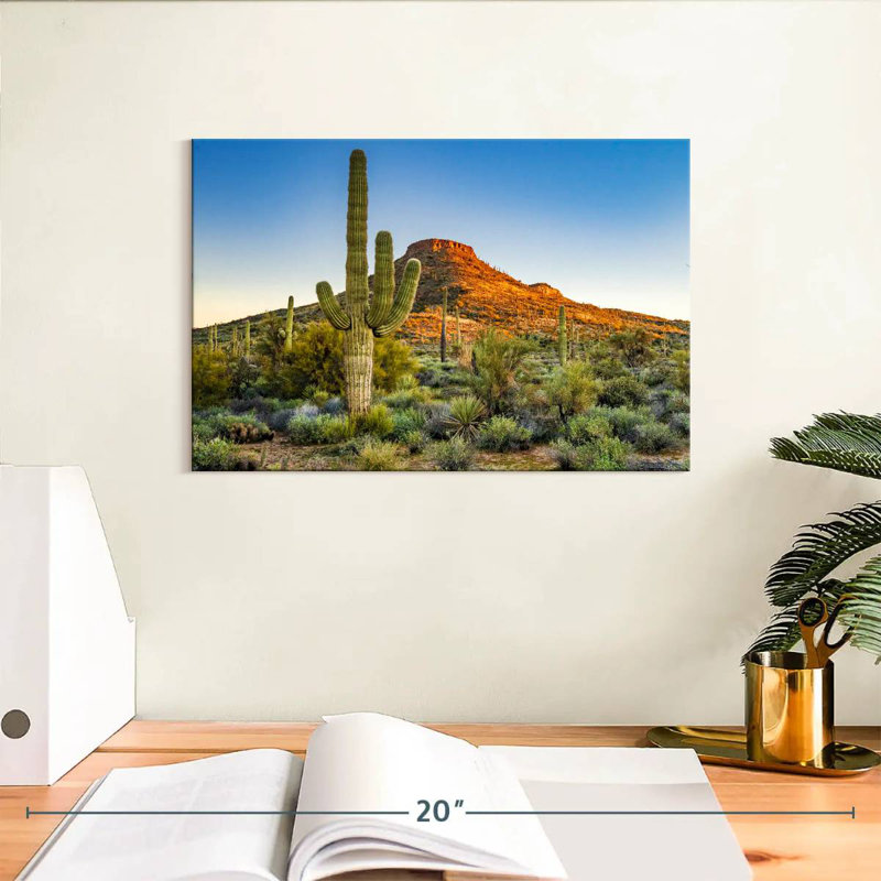 Désert de Sonoran, H 8 po x l 12 po