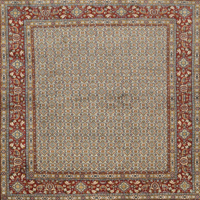 Oriental Indoor Rug