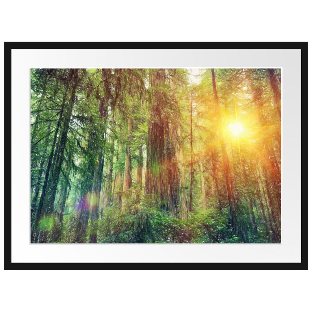 Gerahmtes Poster Wald bei Sonnenlicht