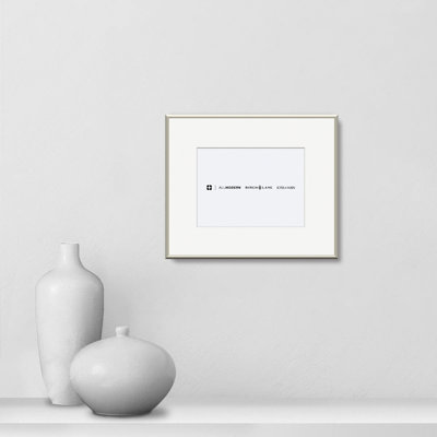 Feronia Metal Picture Frame with Mat