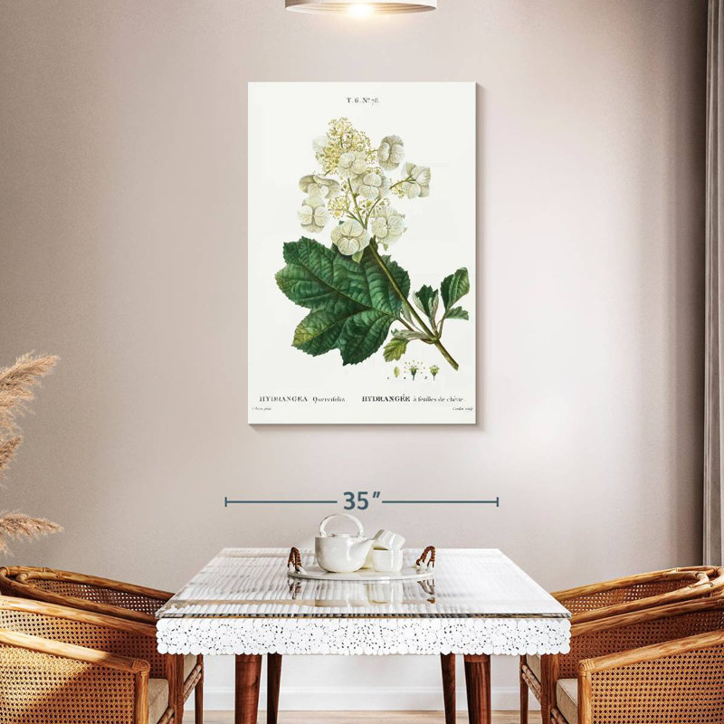 Keiri Oakleaf Hydrangea, 45" H x 30" W