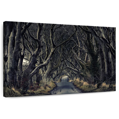 Alvord Dark Forest Pathway