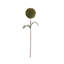 BOTANICA # 3620