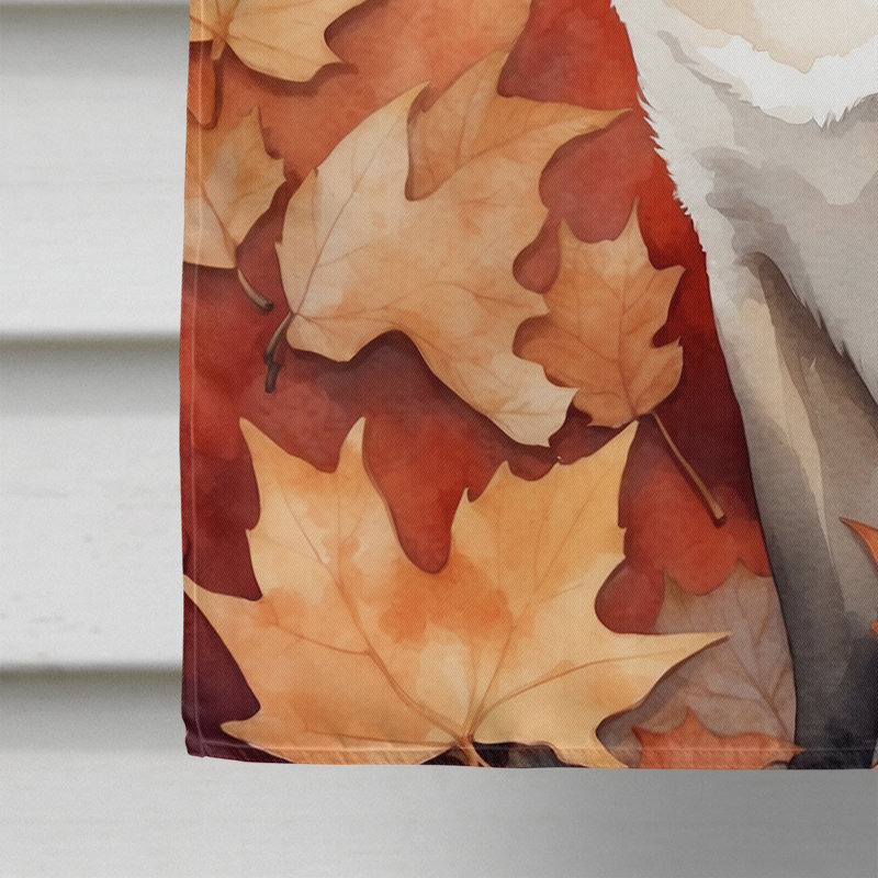 Chat en feuilles d'automne, Colorpoint Shorthair