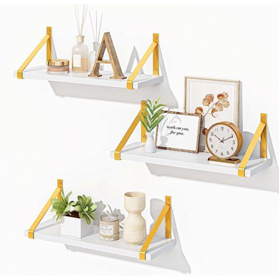 Castulo 3 Piece Plastic / Acrylic Floating Shelf