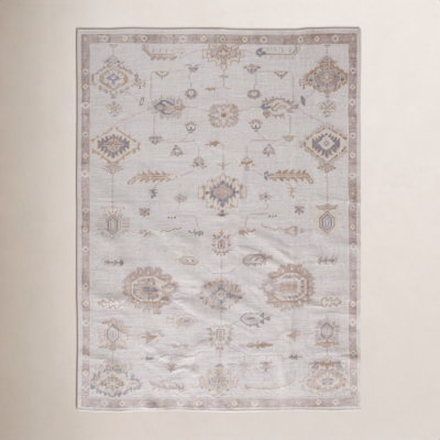Winslet Light Gray Brown Hand-Knotted Oriental Rug