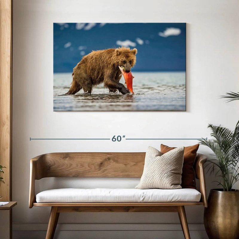 Grizzly de Brampt mangeant du saumon, H 30 po x l 45 po