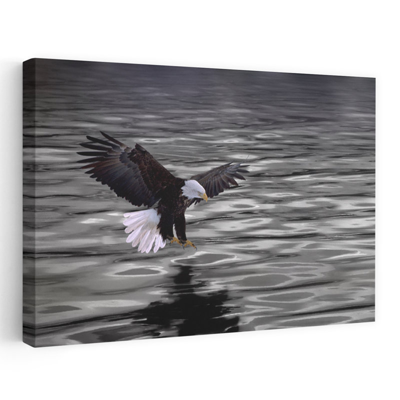 Aigle sur l'eau, art contemporain d'oiseau, H 16 po x l 24 po