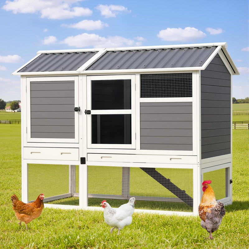 68" Large Wooden Chicken Coop With Run For 6-8 Hens, 4 Nesting Boxes