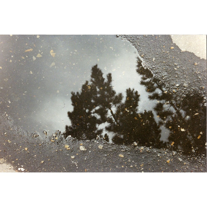 Between The Ephemeral And The Permanent 3 Print by Leonardo Segovia.