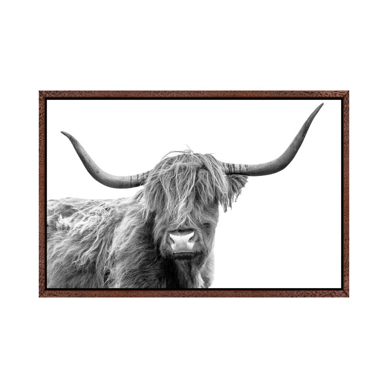 Looking At You III, Scottish Highland Cow Black And White by Susanne Kremer - Print on Canvas