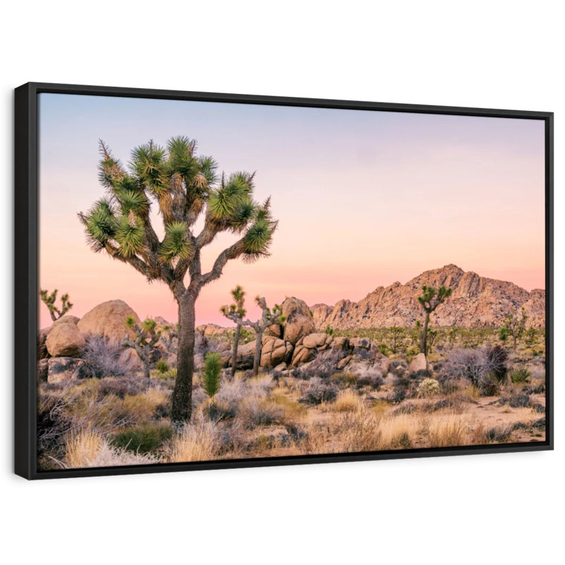 " Joshua Tree Patch Canvas Print ", 27" H x 40" W