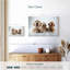 Brampt Golden Retriever de Brampt-107859414