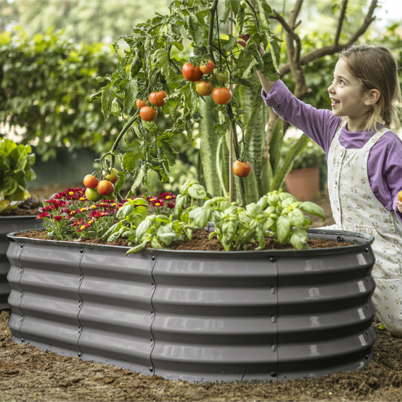 Jardin surélevé galvanisé pour l'extérieur, Gris