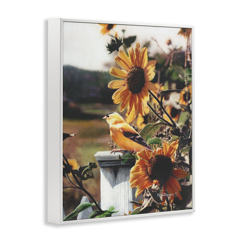 «Canary Bird & Sunflowers», art de la giclée encadrée par Kevin Daniel, H 30 po x l 24 po, Giclée encadrée blanc bord de mer