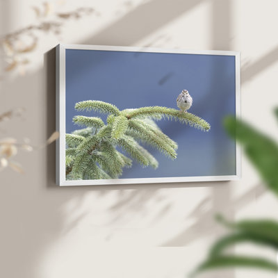 Evergreen Perch -Framed Print - Restickable