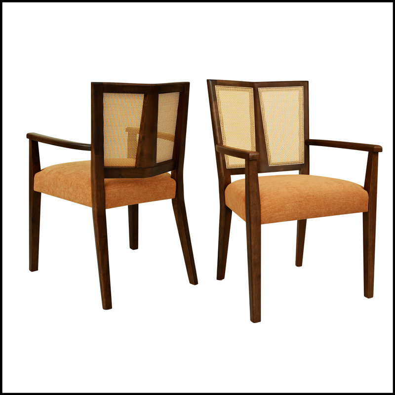 Ensemble de 2 chaises de salle à manger élégantes en rotin avec accoudoirs à dossier, durables et confortables pour les intérieurs modernes