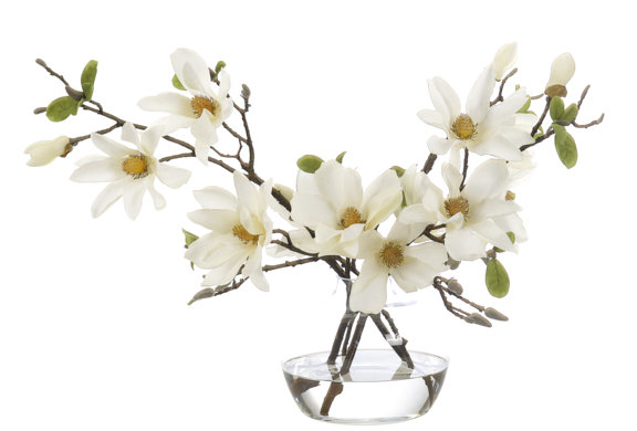 Real-Touch Magnolia, White, Glass Vase, 25wx17dx17h