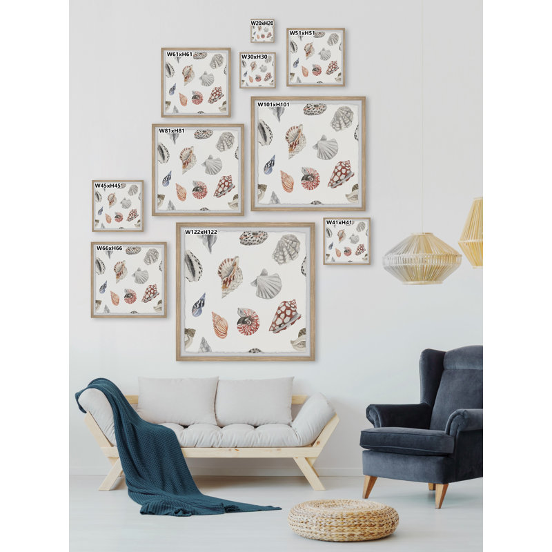 Classic Seashells - Single Picture Frame Print, 30cm H x 30cm W x 3.81cm D