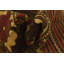 Tapis brun Orcutt