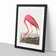Pink Flamingo by John Audubon - Picture Frame Painting Print