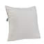 Coussin Orell