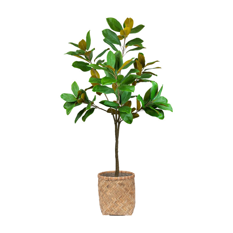 UV Rated 5' Magnolia Tree Drop-In with Bamboo Planter