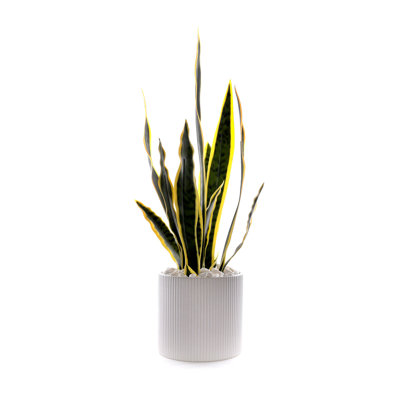 Faux Plant in Ceramic Planter
