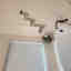 Photos des clients 1 de 1