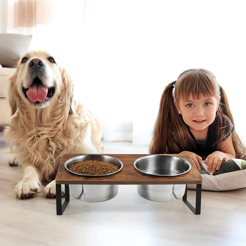 Mangeoire surélevée pour chien