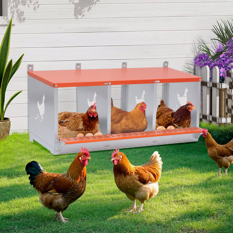 Boîte à nid en métal pour poules