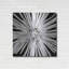 «Black and White Love» par Donnie Quillen-675963390