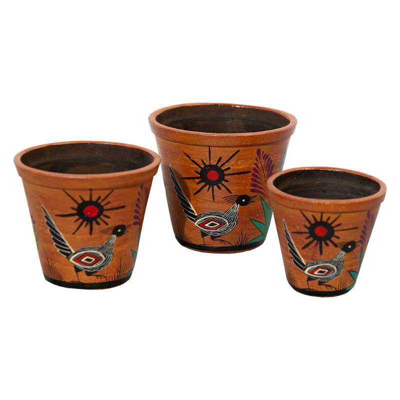 "Petit ensemble" de pots à fleurs Southwest Roadrunner