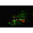 Newfane Flood Light with Infrared Controller