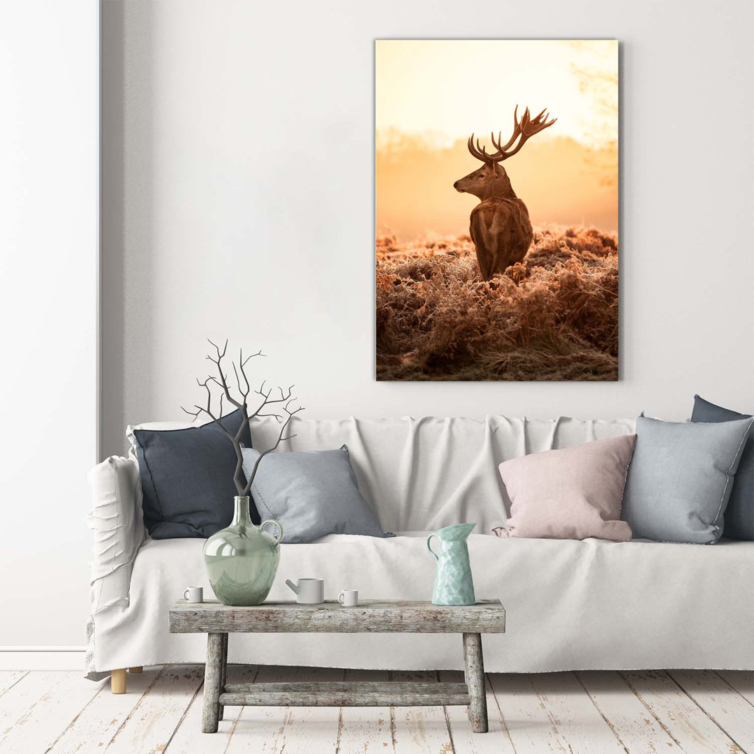 Deer Sunrise - Leinwanddrucke auf Leinwand