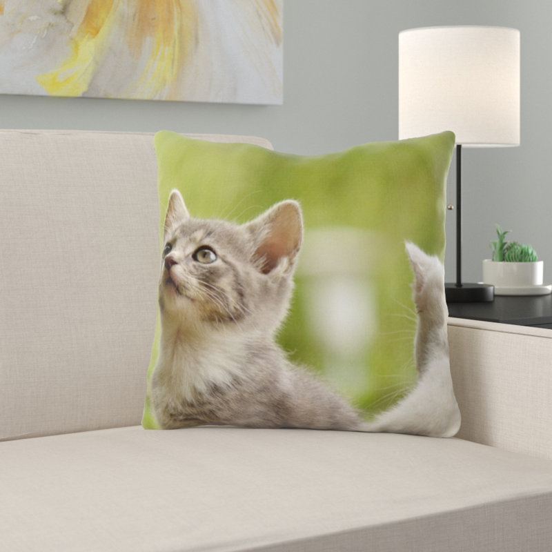 Coussin pour chat