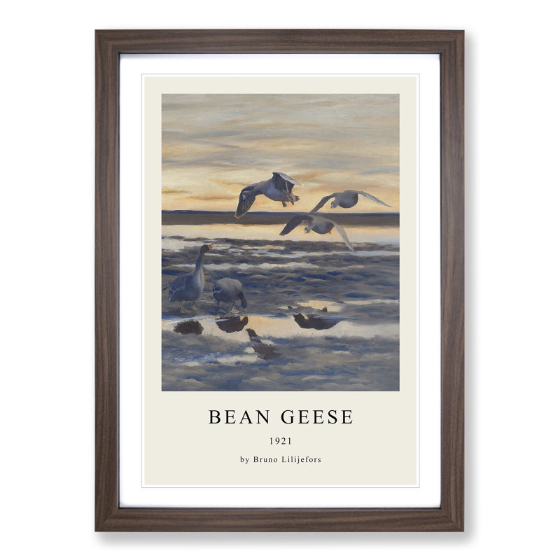 Bean Geese Shedding by Bruno Liljefors - Picture Frame Graphic Art, Walnut Framed, 36cm H x 27cm W x 2cm D