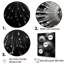 «Black and White Sea Urchin Symphony», reproduction sur toile de plage et océan-95884491-95884482